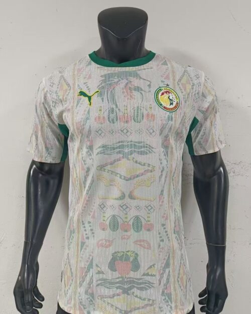🇸🇳