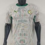 🇸🇳